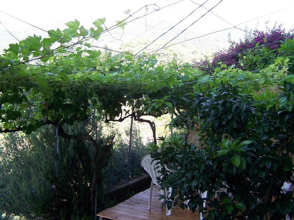 B&B Baddesalighes Bolotana Εξωτερικό φωτογραφία
